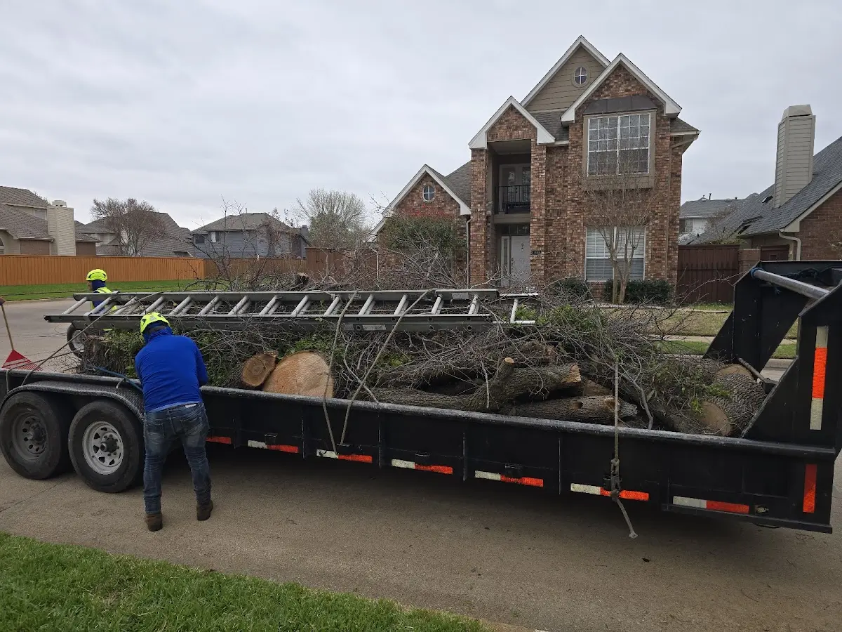 Expert Tree Pest Control with proper safety equipment in Novelty